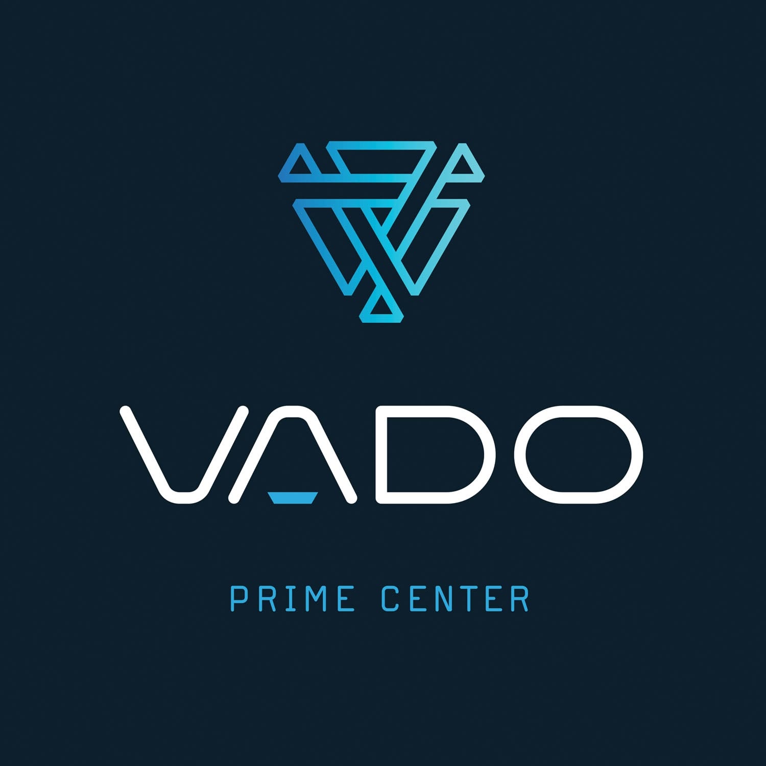 Terra Vital – Vado Prime